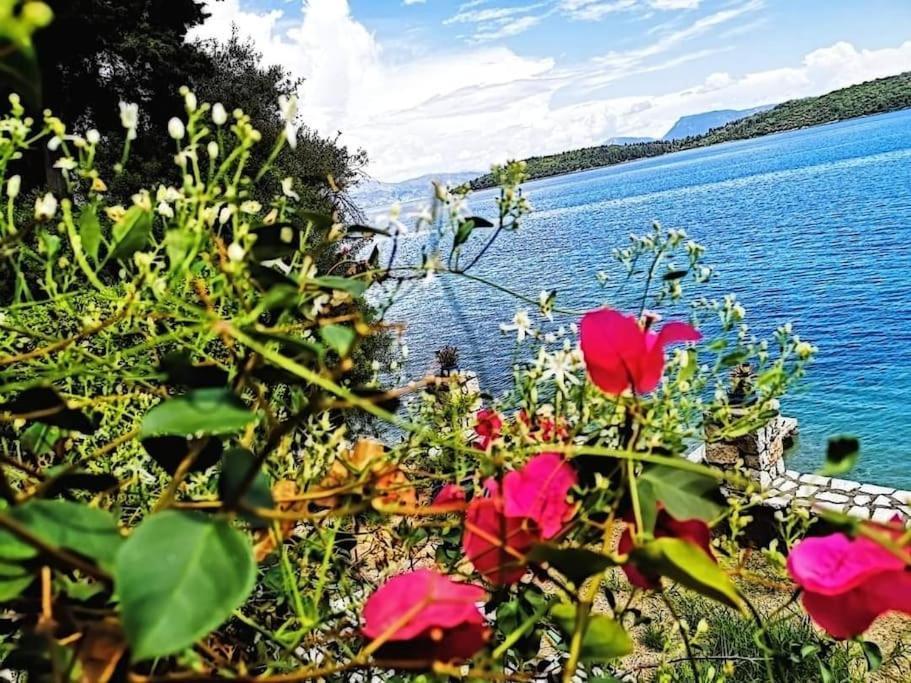 Villa Violeta Lefkada Nydri Kültér fotó